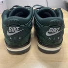 Air Jordan 4 RM SP Nigel Sylvester Grandma's Driveway HF4334-300 Size 9